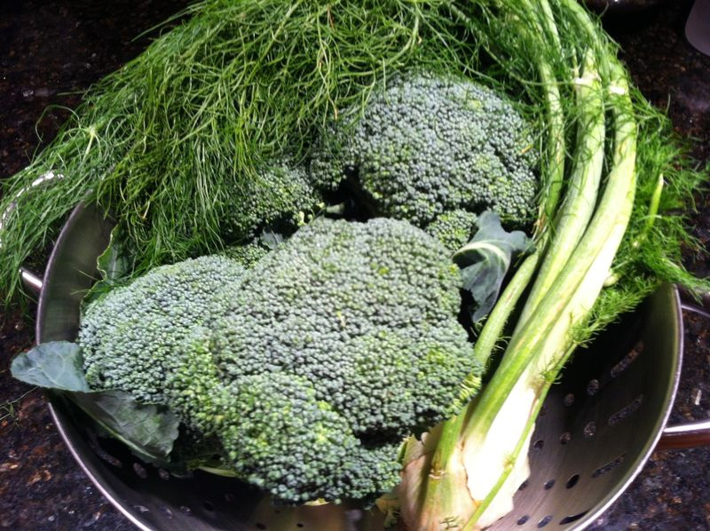 Broccoli and Fennel Salad