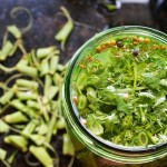 Lacto-Fermented Green Beans